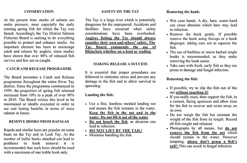 Catch and release code on the Tay