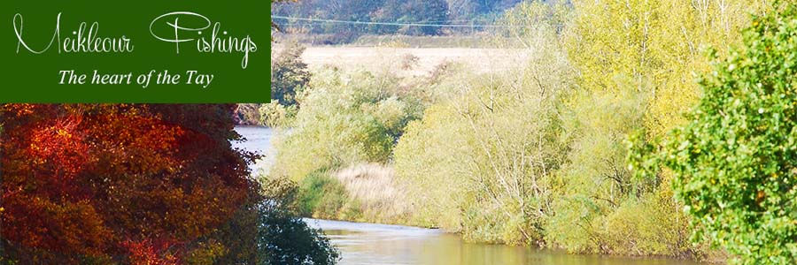 Tunnel Pool on Upper Islamouth Salmon Fishing