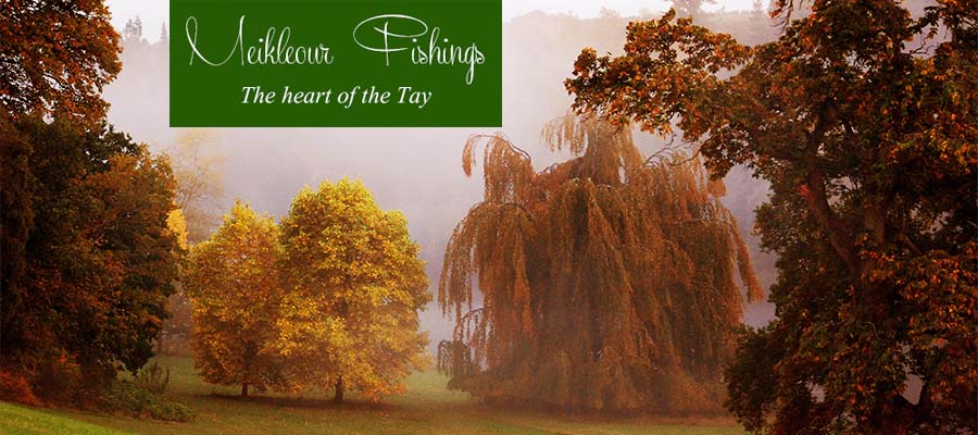 Meikleour_House_Beat_Autumn_Salmon_Fishing